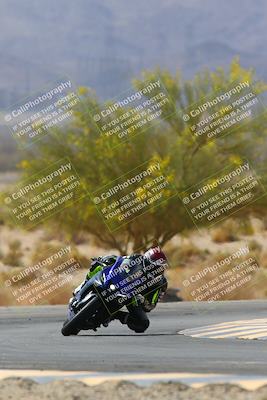 media/Apr-10-2022-SoCal Trackdays (Sun) [[f104b12566]]/Turn 5 Tree of Life (1040am)/